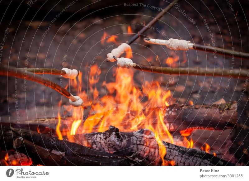 grill bread on a stick Food Dough Baked goods Bread Nutrition Finger food Lifestyle Joy Leisure and hobbies Vacation & Travel Trip Adventure Freedom Nature Wood