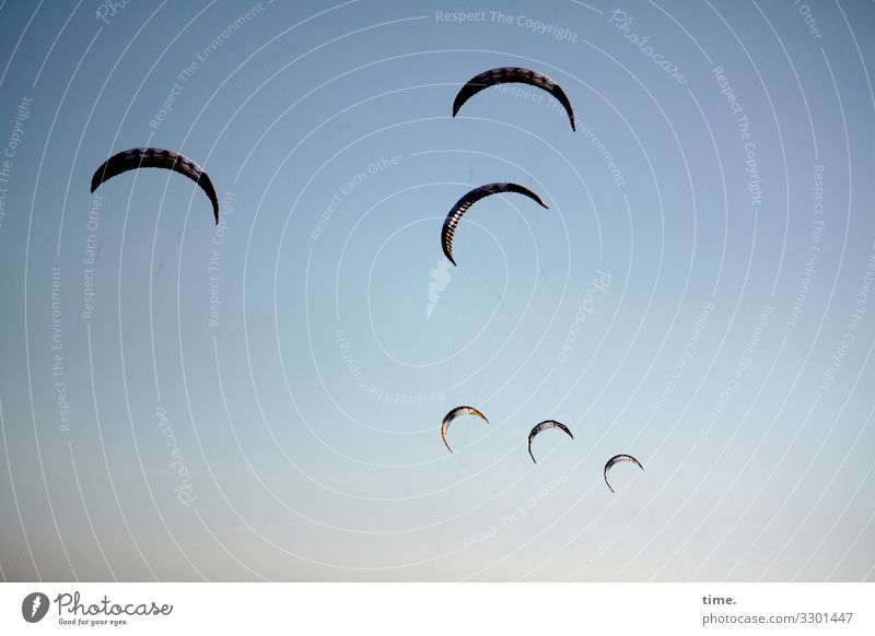 Wind acrobats Sports Aquatics Sky Beautiful weather Aviation Aircraft Kiter Kiteboard Discover Relaxation Flying Joy Happy Joie de vivre (Vitality) Passion