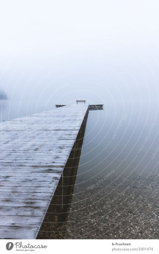 Foggy weather Harmonious Relaxation Calm Meditation Winter Bad weather Ice Frost Lakeside Think To enjoy Looking Wait Hope Horizon Footbridge Wallersee