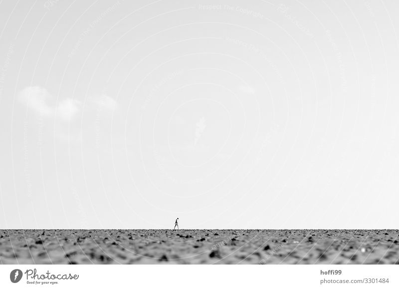 lonely person in the distance alone at low tide in the Wadden Sea Hiking Adventure Summer Beach Ocean Human being Adults 1 Gloomy Dry Endurance Wanderlust