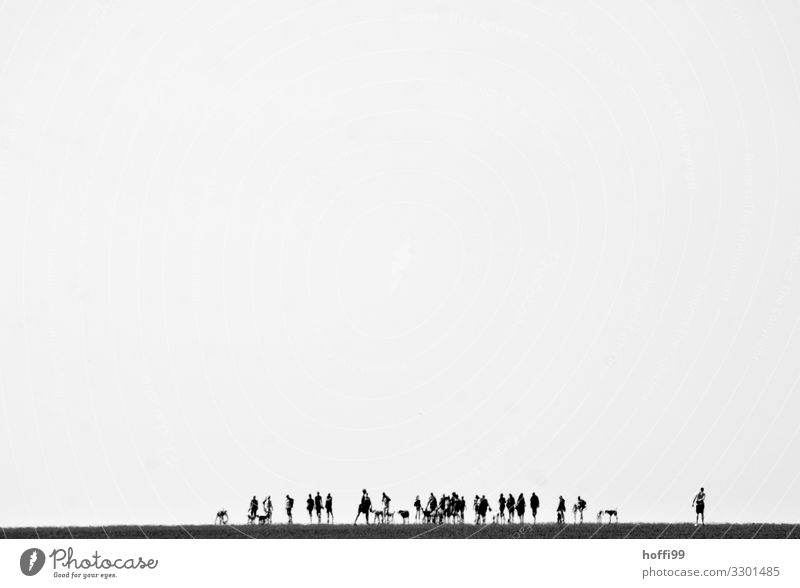 flickering crowd in the distance at low tide in the Wadden Sea Hiking Trip Beach Ocean Walk along the tideland Mud flats Human being Crowd of people Landscape