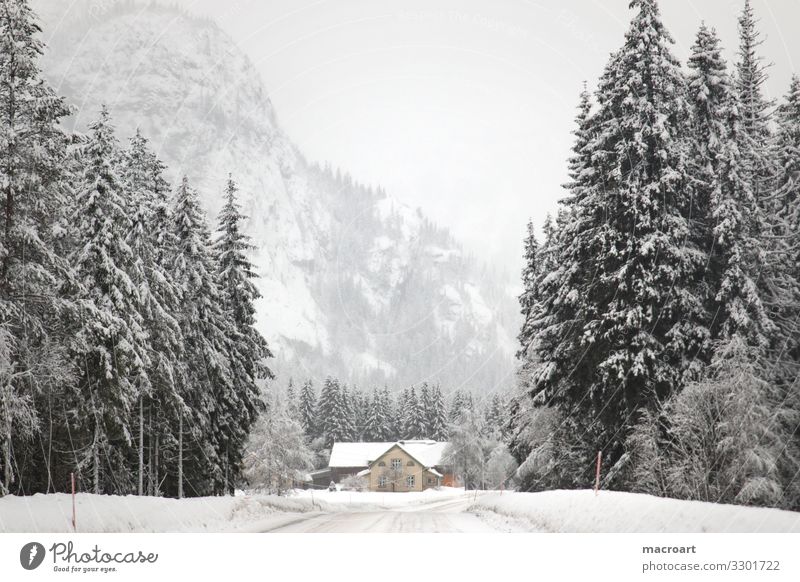 Winter landscape in Norway Snowscape Scandinavia Norwegian Mountain Landscape House (Residential Structure) Nature Sky Village Forest idyllic landscape