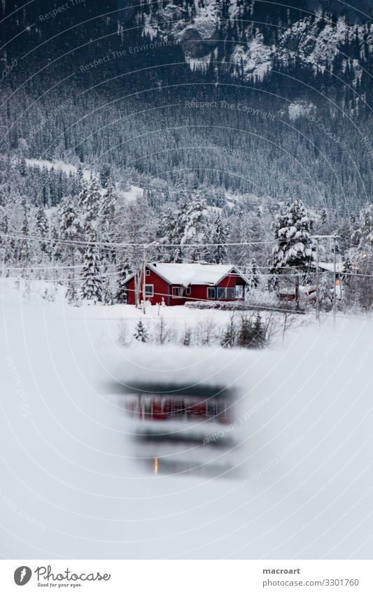 house on the lake Snowscape Norway Scandinavia Norwegian Mountain Landscape House (Residential Structure) Nature Sky Winter Village Forest Appearance Grass