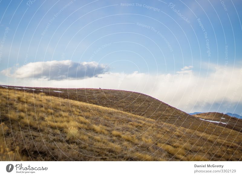 Rolling Wide Open Hills Nature Landscape Earth Sky Clouds Horizon Sunlight Spring Autumn Winter Beautiful weather Plant Grass Foliage plant Park Meadow Field