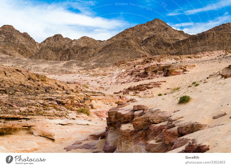 desert canyon on a background of mountains in Egypt Exotic Vacation & Travel Tourism Summer Mountain Nature Landscape Sand Warmth Rock Canyon Stone Bright