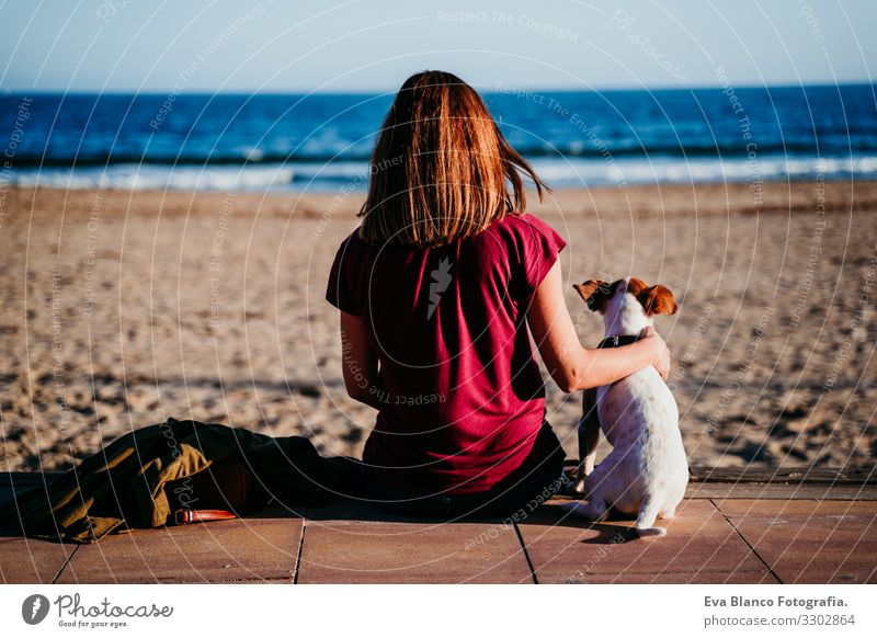 woman and her cute cute sitting at the beach. back view Woman Dog Jack Russell terrier Love Beach Sunset Together White Leisure and hobbies Beautiful Lifestyle