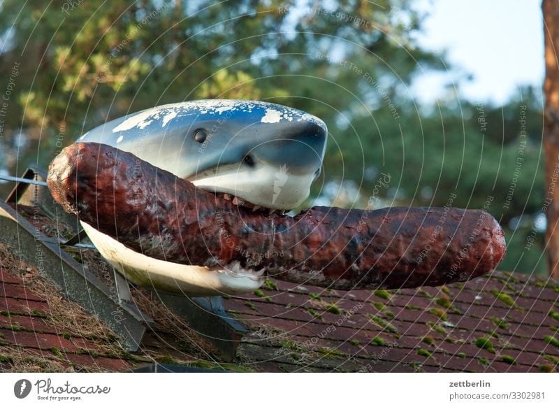 Shark with sausage Advertising Advertising Industry outdoor advertising Feed Fish food Sausage Boiled sausage Bratwurst Nutrition Dish Eating Food photograph