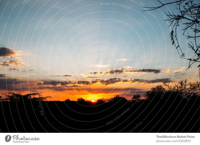 Sunset in Africa Clouds Sky Nature Red Summer Light Horizon Deserted Orange Silhouette Sunbeam