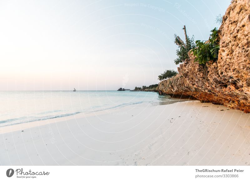 Beach on Zanzibar Colour photo Exterior shot Africa Water Summer Relaxation evening mood Vacation & Travel Nature Sand Ocean Tansania Rock Horizon ship