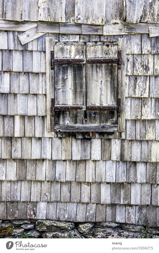 Storm-proof Hut Building Wall (barrier) Wall (building) Facade Window Shutter Roofing tile shingle wall Wood Old Broken Natural Dream Sadness Grief Pain