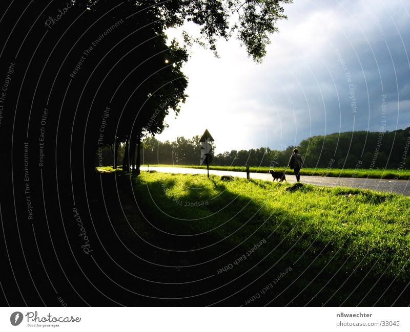 Woman with dog Forest Meadow Clouds Dog Dark Light Bright Storm Sky Contrast