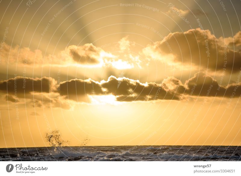 Evening sun with wave splashes left Nature Air Water Sky Sun Sunrise Sunset Sunlight Autumn Beautiful weather Waves Baltic Sea Maritime Multicoloured Sunbeam