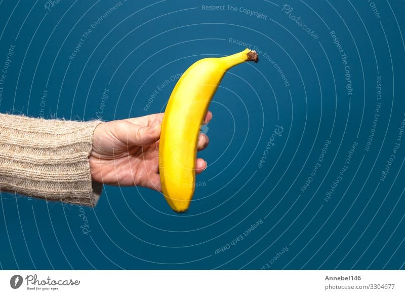 hand holding yellow banana fruit blue wall Fruit Dessert Nutrition Breakfast Vegetarian diet Diet Design Summer Human being Woman Adults Man Hand Fingers Nature