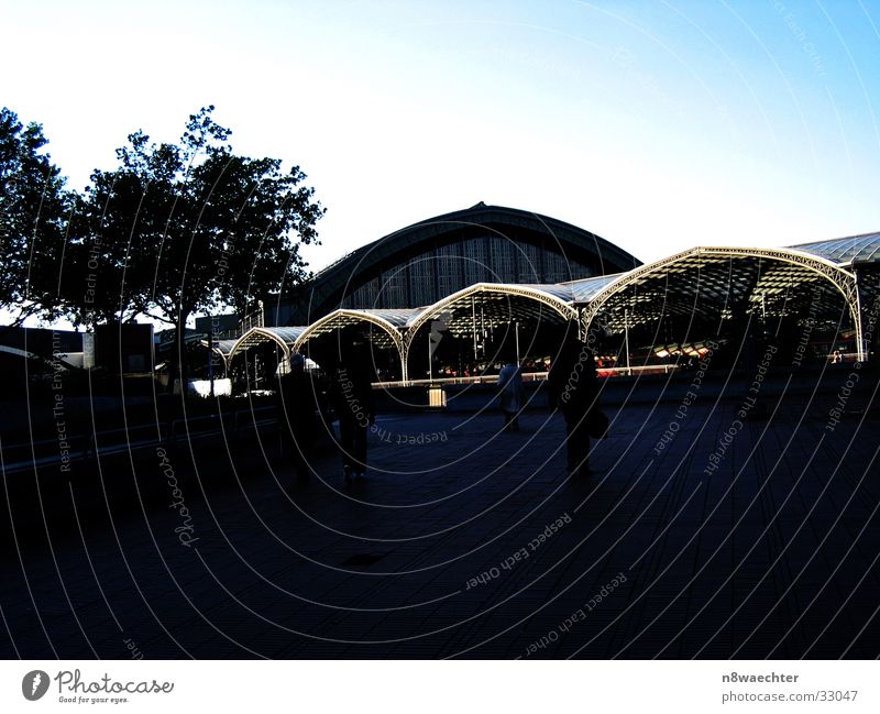 Cologne main station Roof Domed roof Building Dark Architecture Train station Honey-comb Contrast Human being Sky blue transition lattice structure