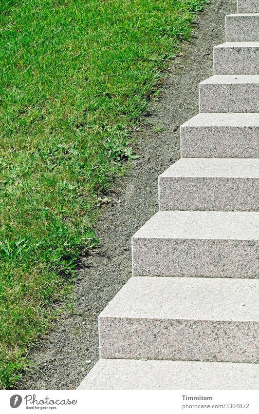 ascent Environment Beautiful weather Grass Park Denmark Stone Esthetic Clean Gray Green White Emotions Orderliness Access Stairs stair treads Colour photo