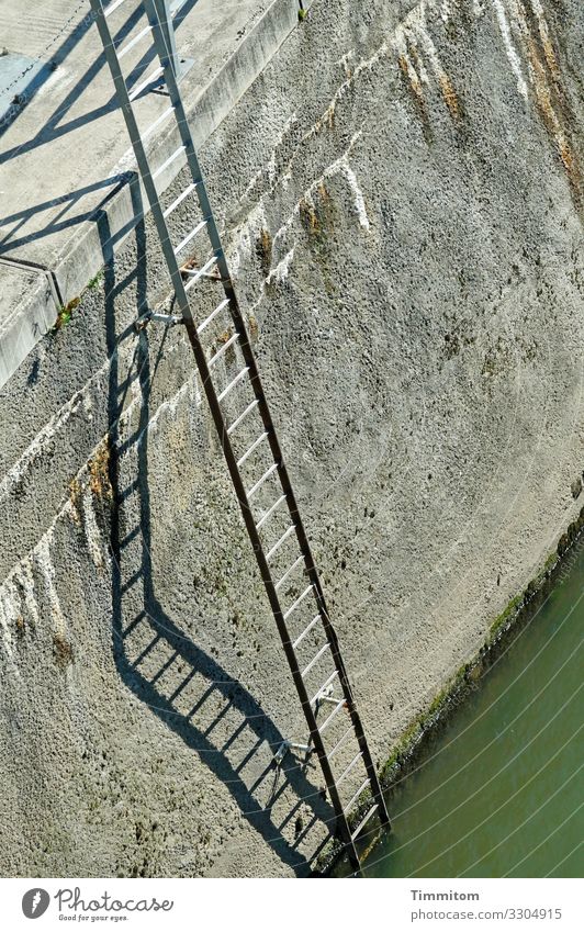 entrance Heidelberg Inland navigation Channel Barrage Ladder Rung Metal Tall Gray Green Black Emotions Effort Neckar Colour photo Exterior shot Deserted Day