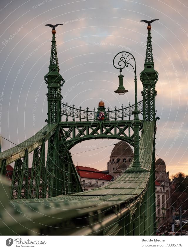 Freedom Bridge in Budapest Sky Clouds Autumn Capital city Downtown Landmark Szabadság híd freedom bridge Road traffic Metal Steel Old Esthetic Elegant Town Blue