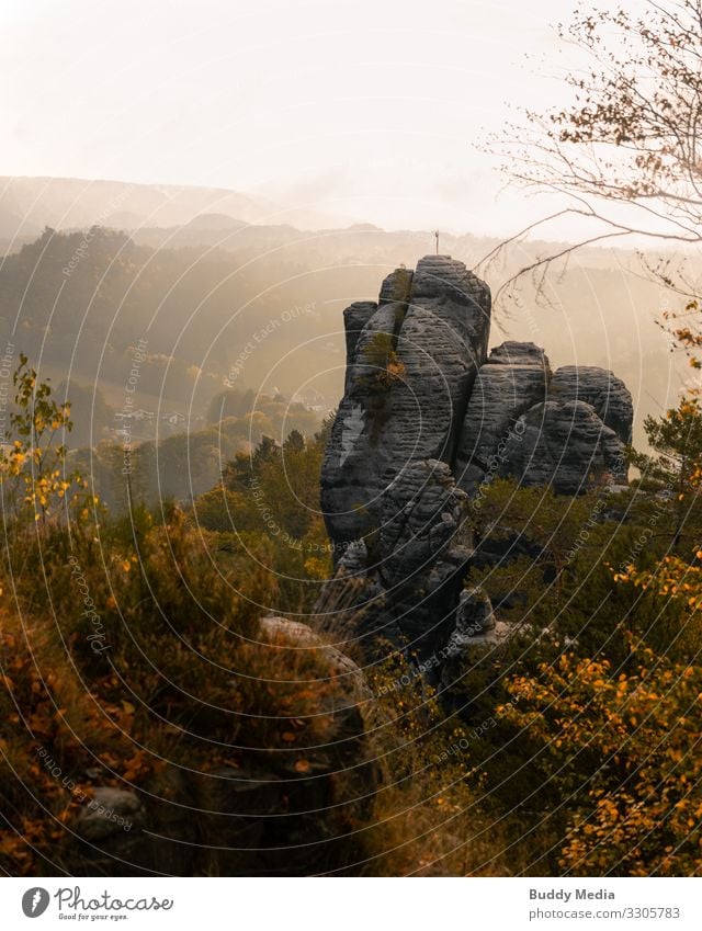 Bastei, Saxon Switzerland, Lohmen Nature Landscape Sky Sunrise Sunset Autumn Beautiful weather Fog Tree Grass Bushes Park Forest Hill Rock Mountain Peak Germany