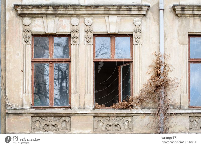 Old | Vacancy Old building facade detail Apartment Building House (Residential Structure) Deserted Window Wall (building) Facade Derelict topic day