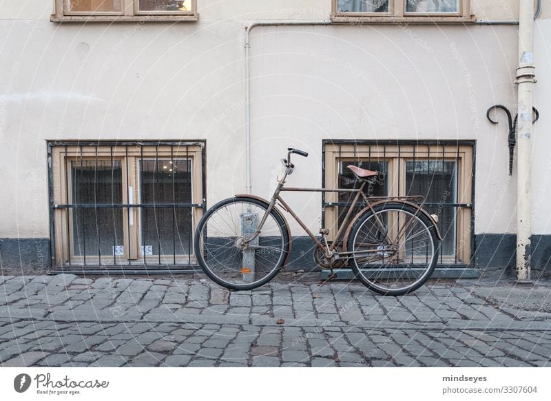 Beige bicycle leaning against house wall Style Leisure and hobbies Cycling Tourism City trip Winter Stockholm Old town Deserted Facade Window Cobblestones