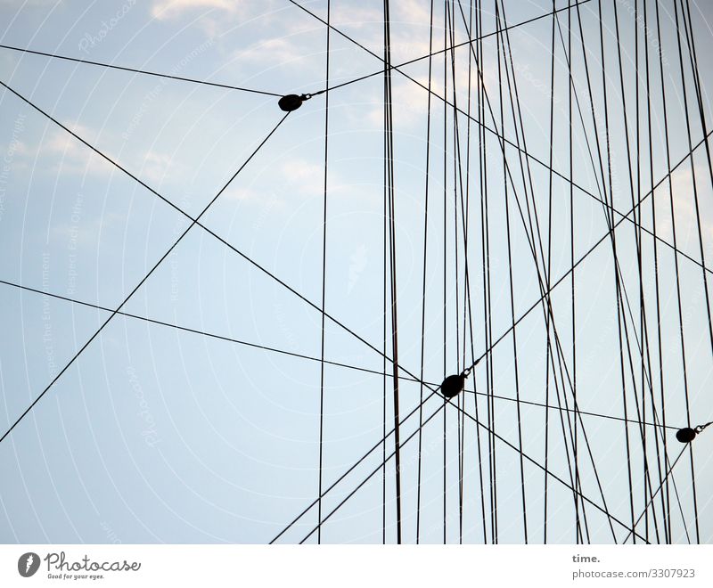 old-boy networks #19 Sky Clouds Beautiful weather Hamburg Navigation Sailing ship Rope On board Rigging Dew Maritime Trust Safety Protection Together Life