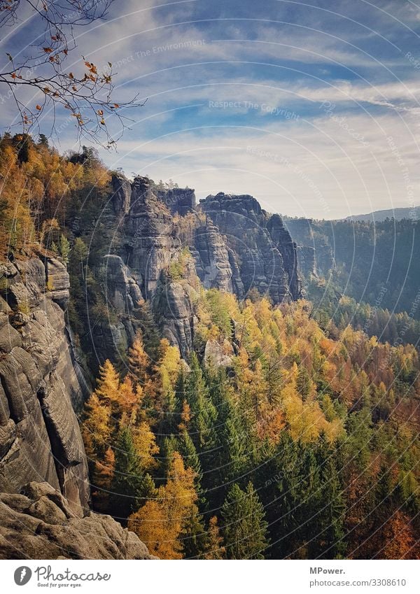 Saxon Switzerland Environment Nature Landscape Beautiful weather Infinity Sandstone Rock Hiking Forest Autumn Multicoloured Trip Nature reserve Saxony