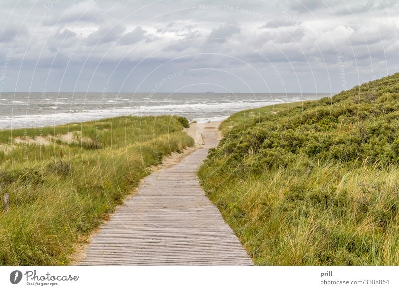 beach scenery at Spiekeroog Summer Beach Ocean Island Landscape Sand Water Coast North Sea Lanes & trails Authentic sand dune Dune East Frisland