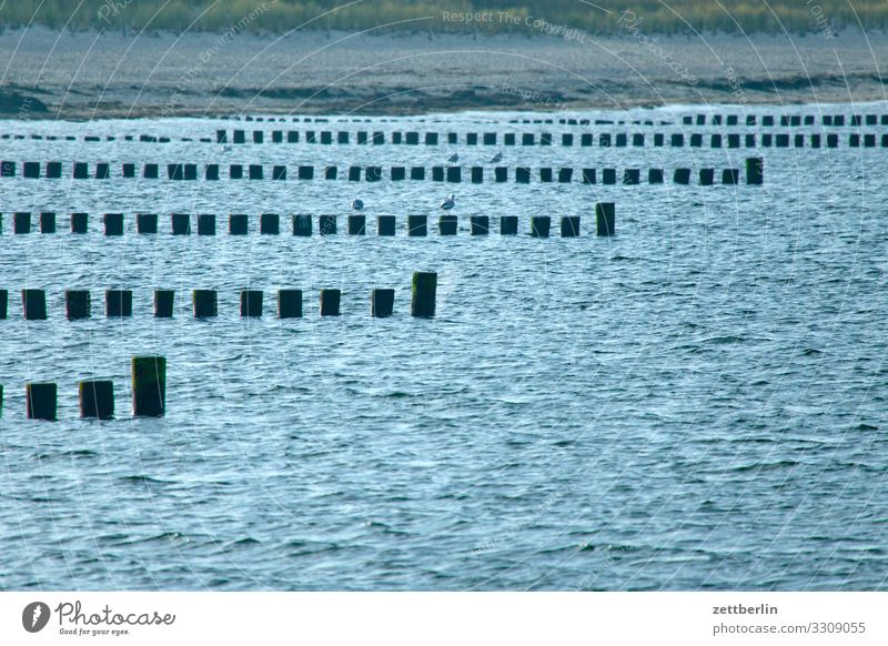 coastal protection Arkona Village Fishing village glowe Island Cape Cap Arcona Coast Coastal patrol Landscape Mecklenburg-Western Pomerania Ocean Baltic Sea