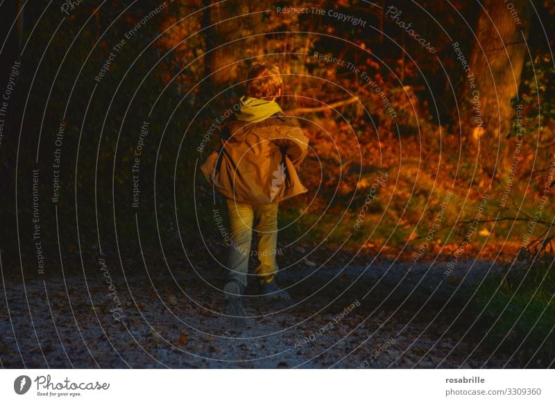 but now quickly | running child in autumn Child Autumn Running Walking hurry fun game Playing Playful Haste evening light Evening Sunset Lighting Orange Brown