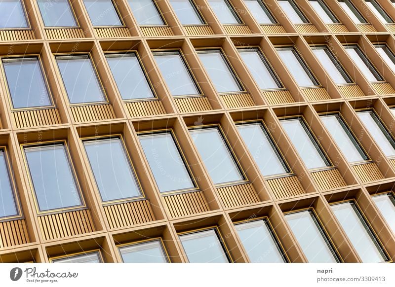 Raster facade Osnabrück district Town House (Residential Structure) Building Architecture Court building Facade Window Monument Sharp-edged Glittering Gold