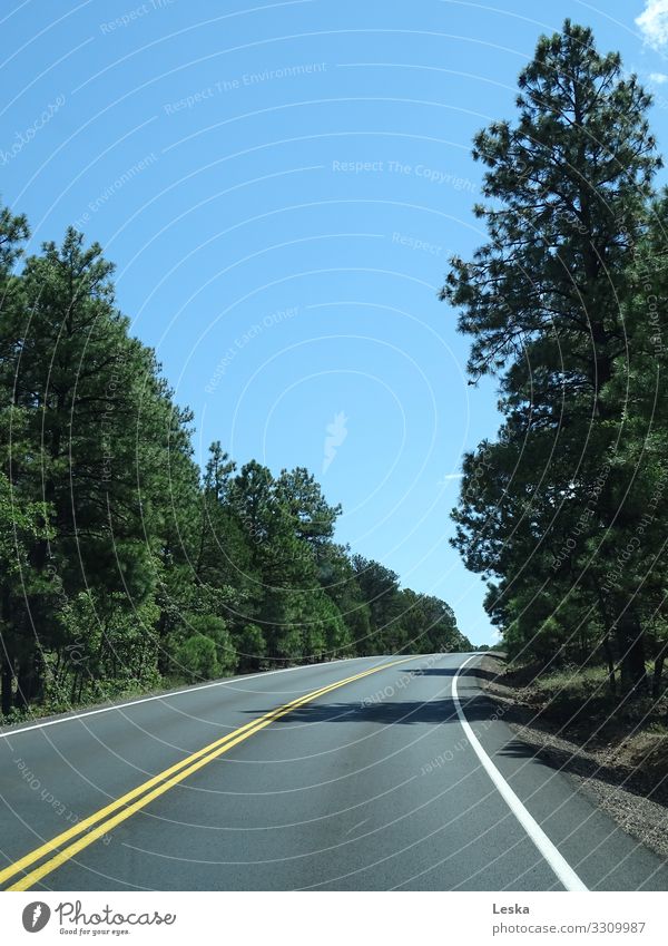 The way is clear Tree Traffic infrastructure Street Highway Driving Optimism Longing Wanderlust Ambiguous Hope Adventure Vacation & Travel Lanes & trails