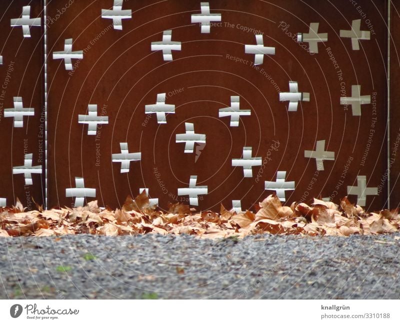 churchyard Nature Grass Leaf Fence Sign Ornament Crucifix Brown Green Religion and faith Protection Town Rust Metalware Winter Limp Colour photo Exterior shot