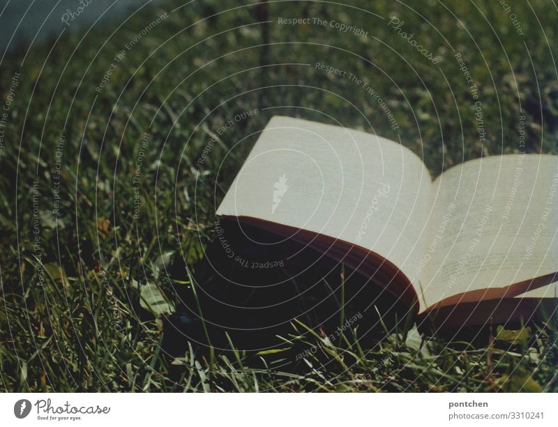 Book is in the grass. Rest, rest, read, relax. Summer day Leisure and hobbies Reading Meadow Relaxation Contentment Grass Word Educational trip Study