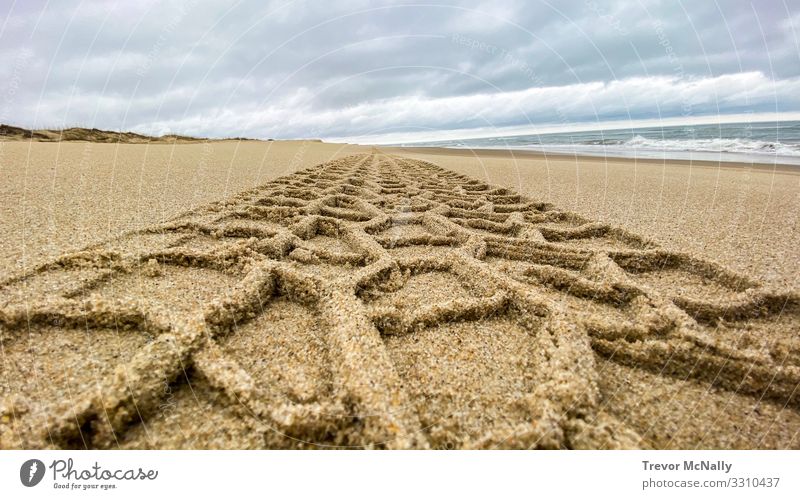 Tire Track Travels Into The Horizon Lifestyle Vacation & Travel Tourism Trip Adventure Far-off places Sightseeing Summer vacation Beach Ocean Waves Nature