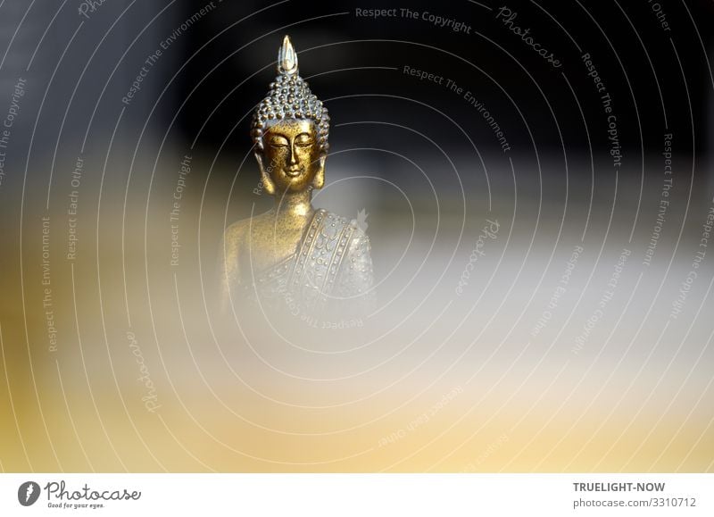 From the darkness and veiled depth of consciousness rises a gilded sculpture with the well-known friendly smiling face of Buddha Buddha statue Buddha sculpture