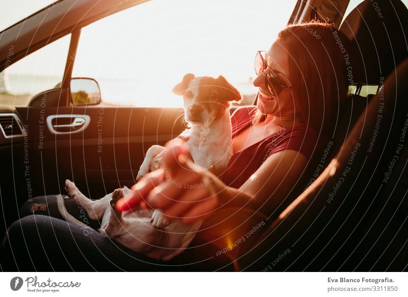 young woman and her cute jack russell dog in a car at sunset. travel concept Woman Dog Car Sunset Love Together Jack Russell terrier Cute Small Delightful