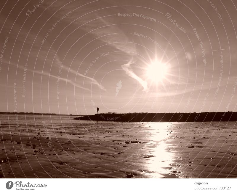 lonely sailor Seaman Beach Man Water Sun Sepia