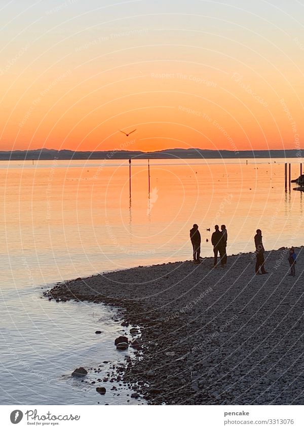 talk am lake Human being Group Nature Landscape Elements Water Sky Winter Beautiful weather Lake To enjoy Communicate To talk Looking Serene Horizon