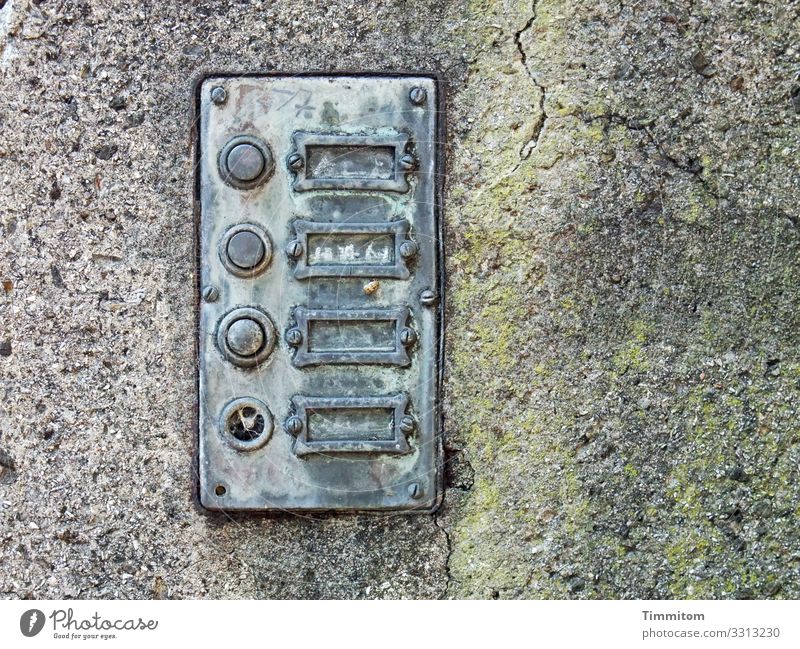 Written | missing Living or residing Wall (barrier) Wall (building) Name plate Bell Concrete Metal Old Broken Gray Green Silver Emotions Past Transience Empty