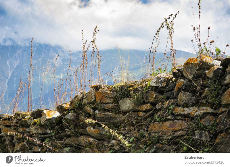 Overgrown stone wall in the mountains Vacation & Travel Summer Mountain Hiking Nature Landscape Clouds Plant Bushes Caucasus Mountains Swaintia Georgia