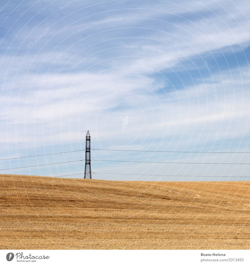 Harvest time 2 harvest season Field scythed Agriculture Grain field Exterior shot Nutrition Agricultural crop power line Sky blue