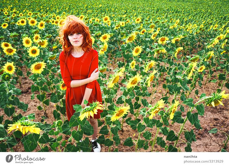 Lovely redhead woman enjoying the day in a field o sunflowers happiness spring young freedom life summer holidays fun funny candid real real people lifestyle