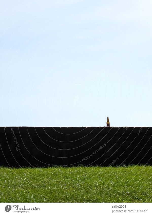 Rest of the party... Beverage Bottle Bottle of beer Grass Meadow Wall (barrier) Wall (building) Stand Apocalyptic sentiment Cold Addiction Transience Empty