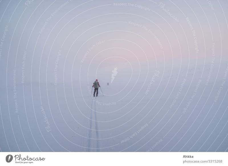 Monochrome white snowy landscape, a ski track leads to a skier with a backpack in the rear view, behind him a tiny second skier, a light pink in the white evening sky