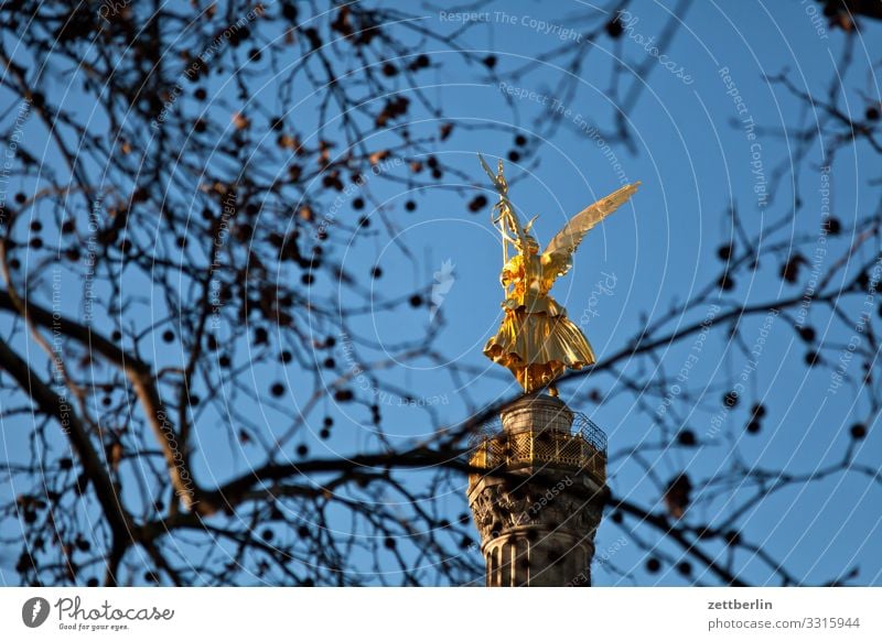 Goldelse behind Plantane Tree Berlin leaf gold Monument Germany Figure Goldelse victory statue big star Capital city Sky Heaven Deserted City Middle Park