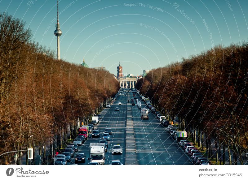 Street of 17 June Berlin City Germany Far-off places Capital city Horizon Vacation & Travel Travel photography Skyline Town Tourism City life Overview Transport