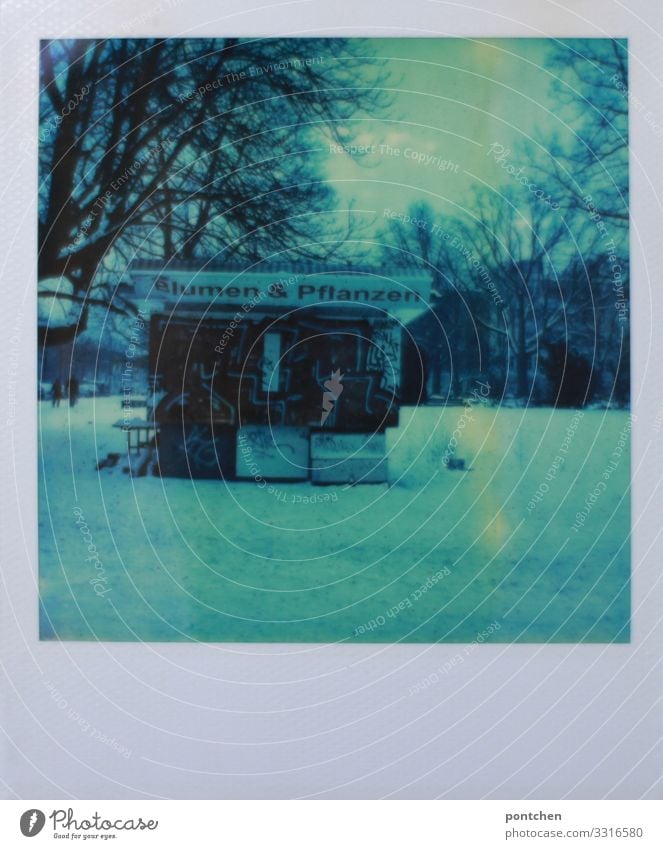 Polaroid shows flower stand in the snowy. Park in winter Workplace Trade Winter Weather Ice Frost Snow Plant Flower Blue Market stall Tree Gloomy Closed Berlin