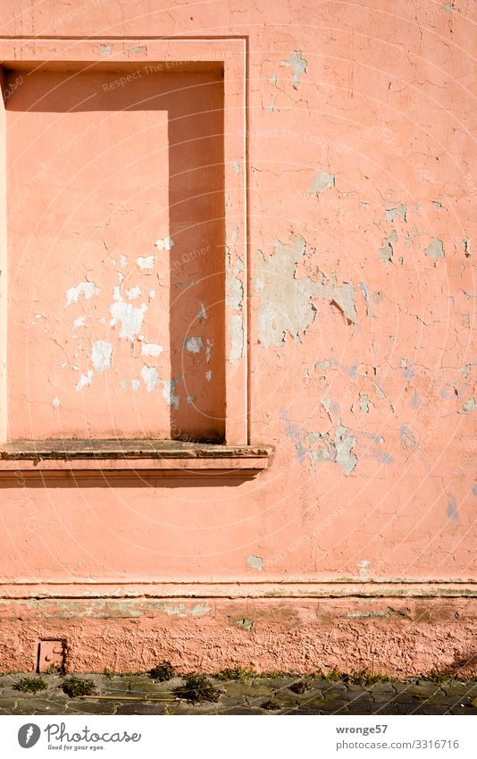 Facade with history Sassnitz Germany Europe Old town Deserted House (Residential Structure) Wall (barrier) Wall (building) Window Town Pink Transience