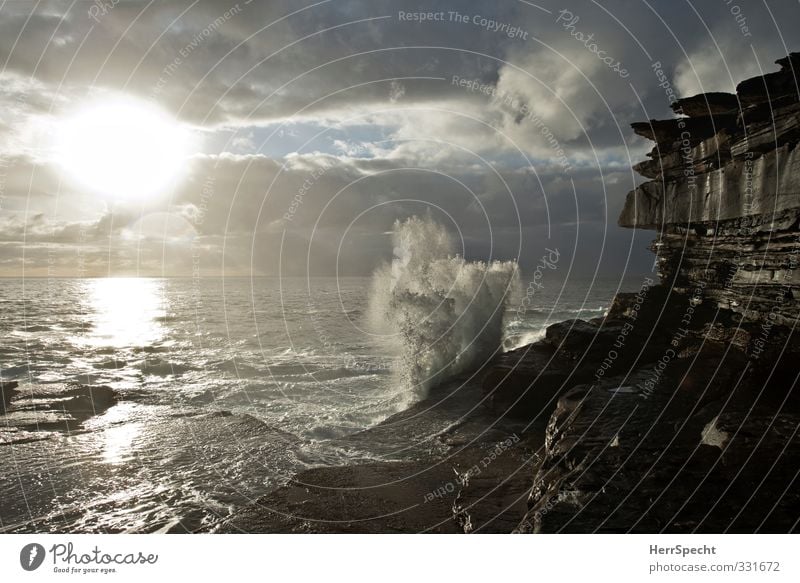 "Silent Ocean" Environment Nature Clouds Waves Coast Australia Gray Black White White crest Swell Cliff Rock Inject Water Pacific Ocean Bay Wild Elements