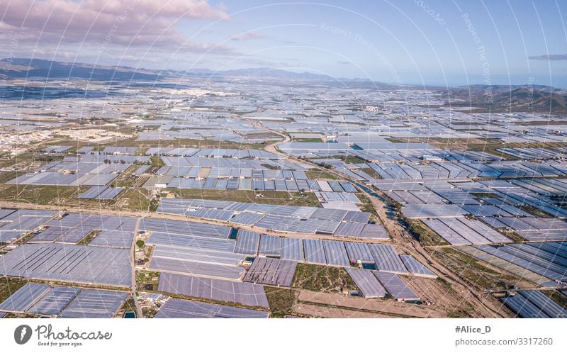 Sea of plastic greenhouses landscape in southern Spain Nutrition Industry Environment Nature Landscape Plant Animal Drought Garden Field Exceptional Gigantic